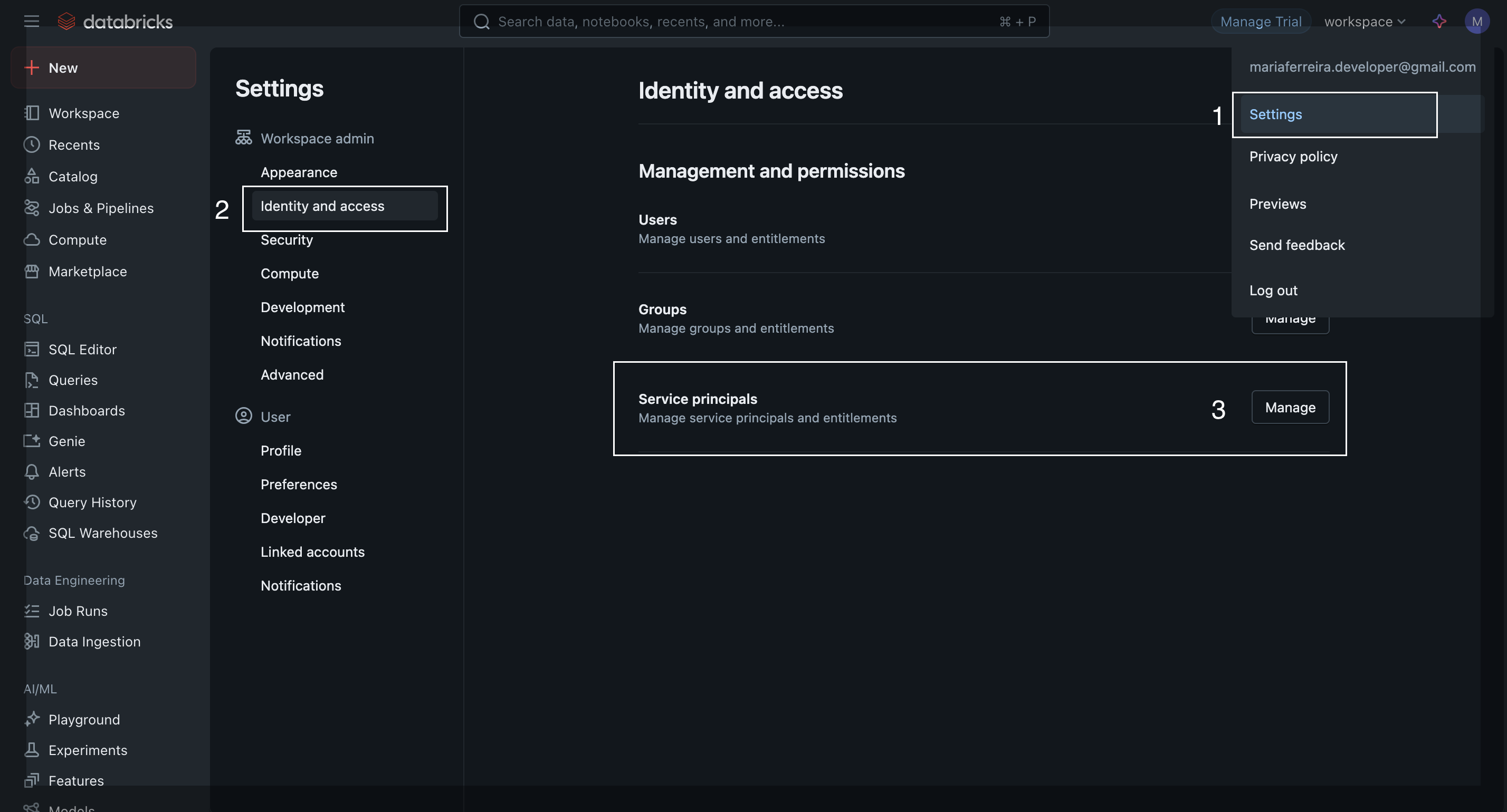 Databricks workspace get credentials